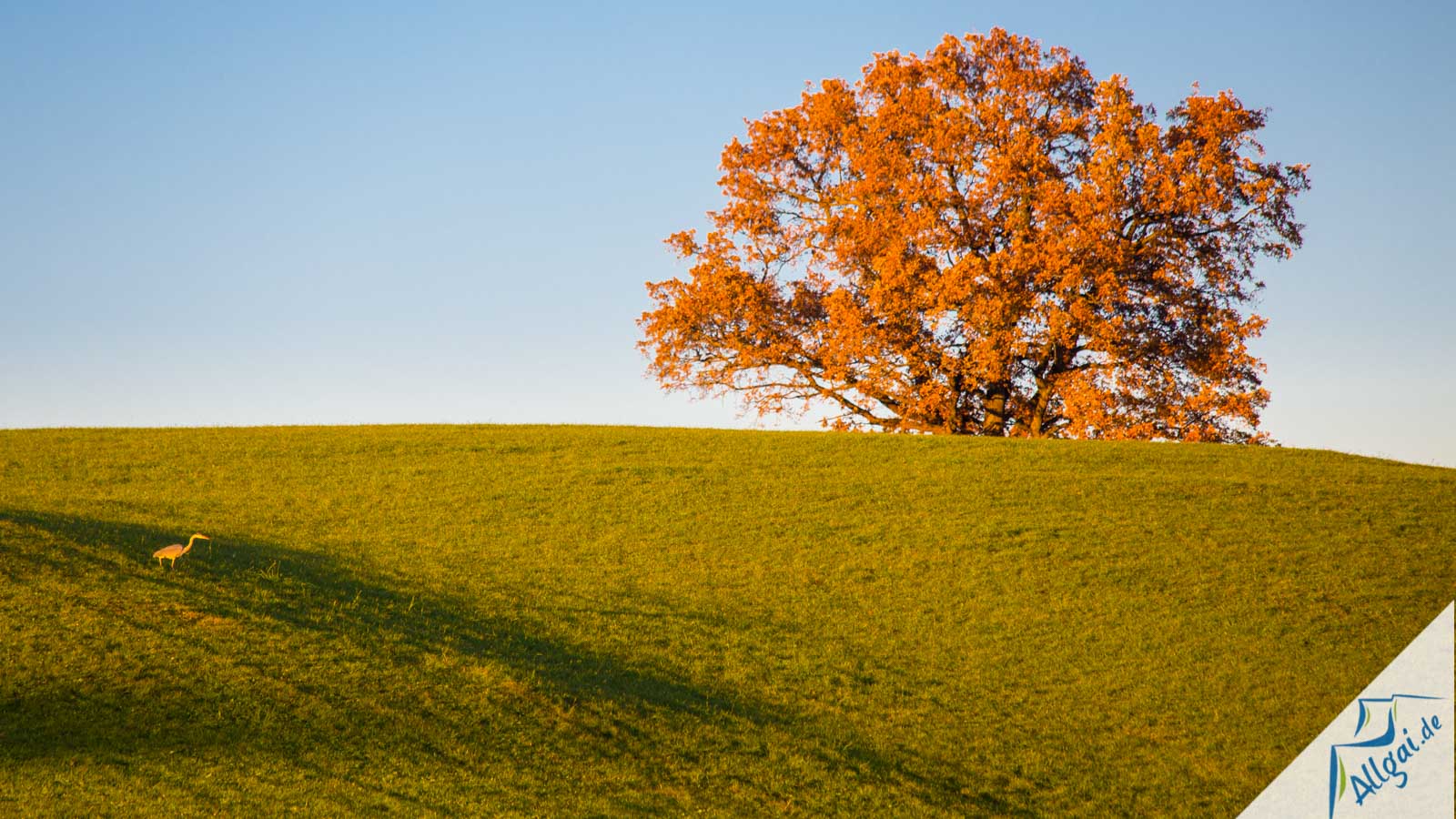 Herbstbilder Aus Dem Allgau